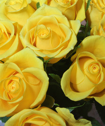 Similar image 21855989