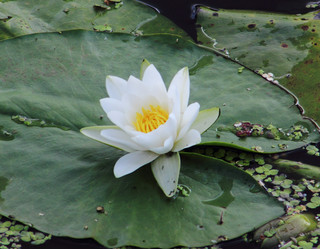 Similar image 21837192