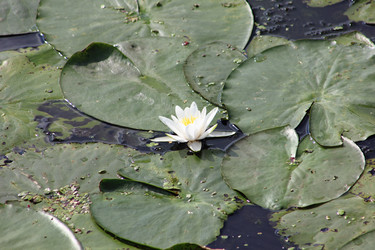 Similar image 21837193