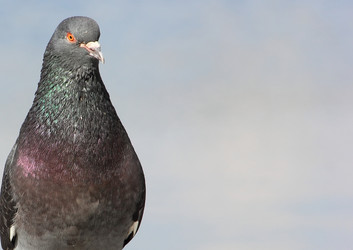 Similar image 21846247