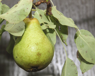 Similar image 21855591