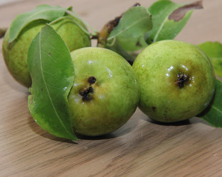 Similar image 21855593