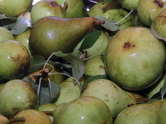 Similar image 21855595