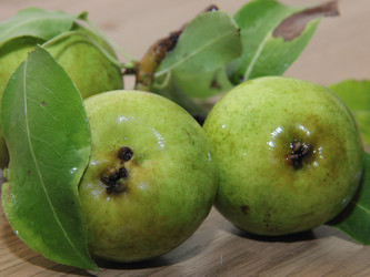 Similar image 21855601