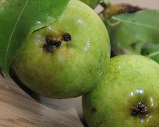 Similar image 21855602