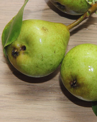 Similar image 21855603