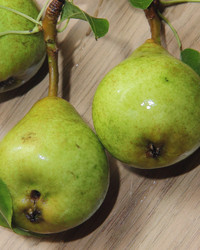 Similar image 21855604