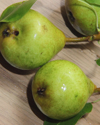 Similar image 21855605