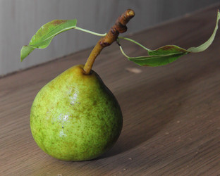 Similar image 21855606