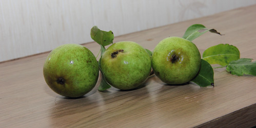 Similar image 21855607