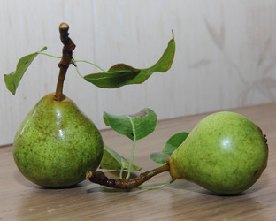 Similar image 21855608