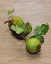 Similar image 21855609