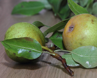 Similar image 21855610