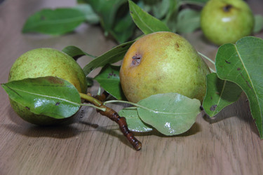 Similar image 21855611