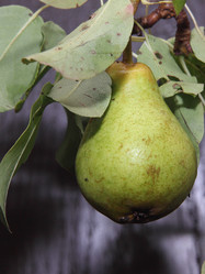 Similar image 21855613