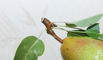 Similar image 21855615