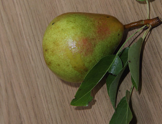 Similar image 21855616