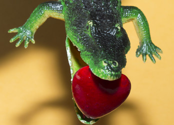 Similar image 21846251