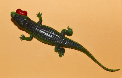 Similar image 21846254