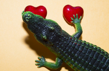 Similar image 21846255