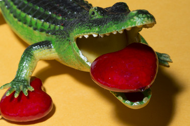 Similar image 21846256