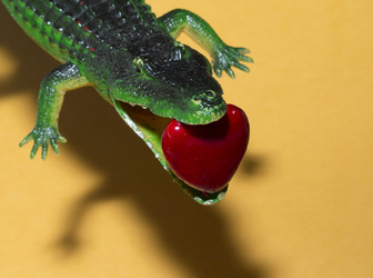 Similar image 21846257