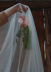 Similar image 21842897