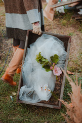 Similar image 21842900