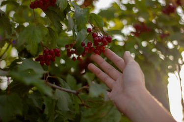 Similar image 21838352