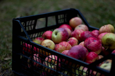 Similar image 21838355