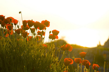 Similar image 21845676