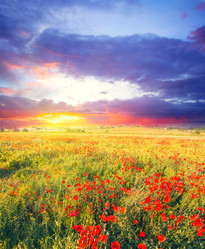 Similar image 21845682