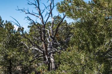 Similar image 21840843