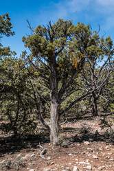 Similar image 21840845