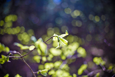 Similar image 21840846