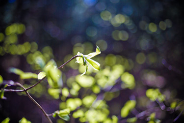 Similar image 21840848