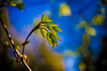 Similar image 21840849