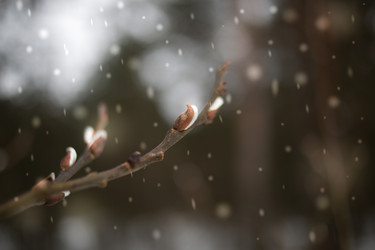 Similar image 21840850