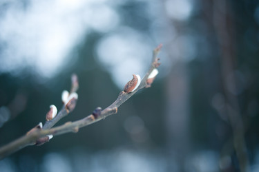 Similar image 21840851