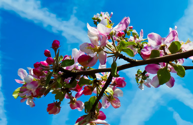 Similar image 21840852