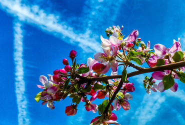 Similar image 21840853