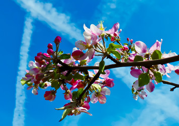 Similar image 21840854