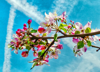 Similar image 21840855