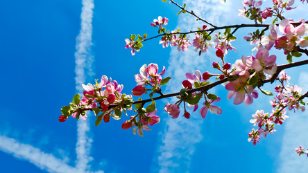 Similar image 21840856