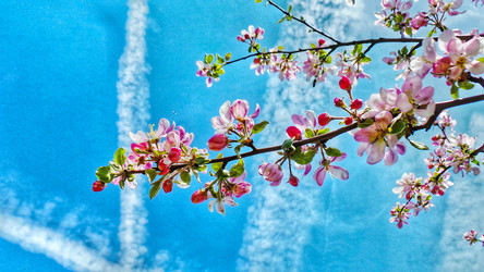 Similar image 21840857