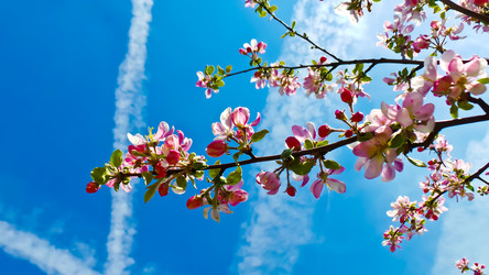 Similar image 21840858