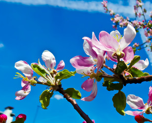 Similar image 21840859