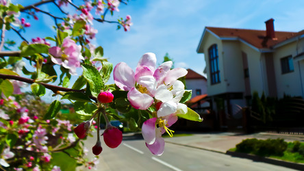 Similar image 21840861