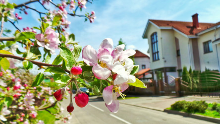 Similar image 21840862