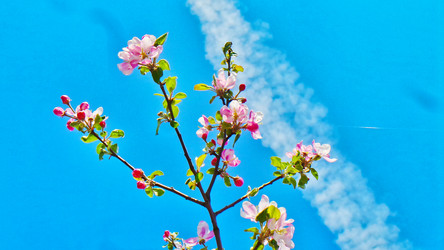 Similar image 21840863